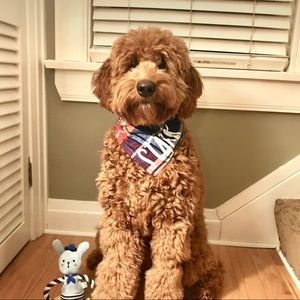 Meet your Posher, Sage